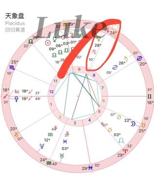 金星狮子(男生/女生)特点感情态度注意事项解析